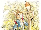 peter-rabbit-web.jpg image by grhmt